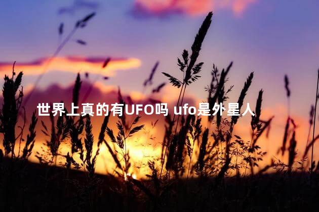 世界上真的有UFO吗 ufo是外星人吗